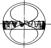 X݆g(sh)ZFX݆pX݆X݆