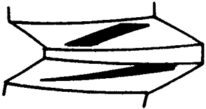 FX݆͜(zhn)pX݆g(sh)Zӹ݆X|zԇ