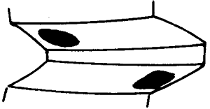 FX݆͜(zhn)pX݆g(sh)Zӹ݆X|zԇ