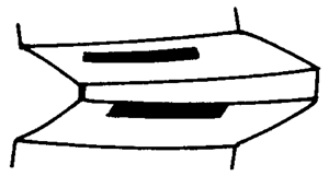 FX݆͜(zhn)pX݆g(sh)Zӹ݆X|zԇ